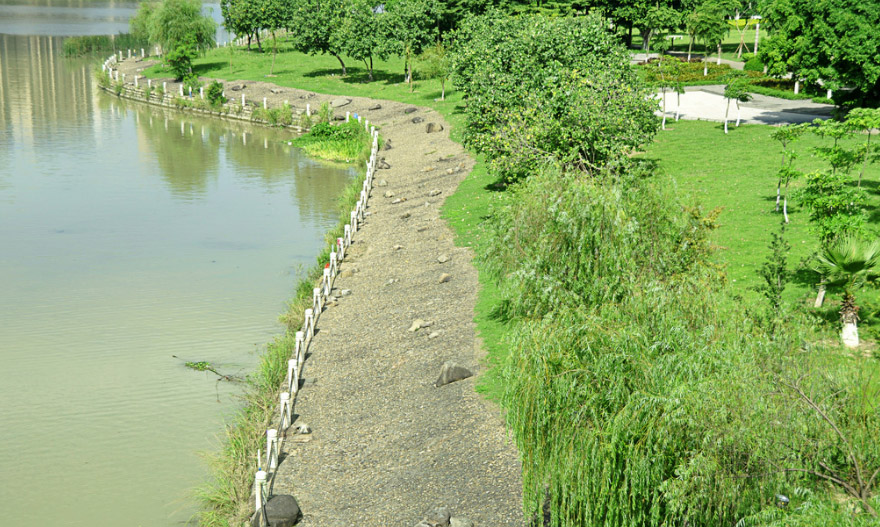 河道生態(tài)護坡的植被與水土保持原理